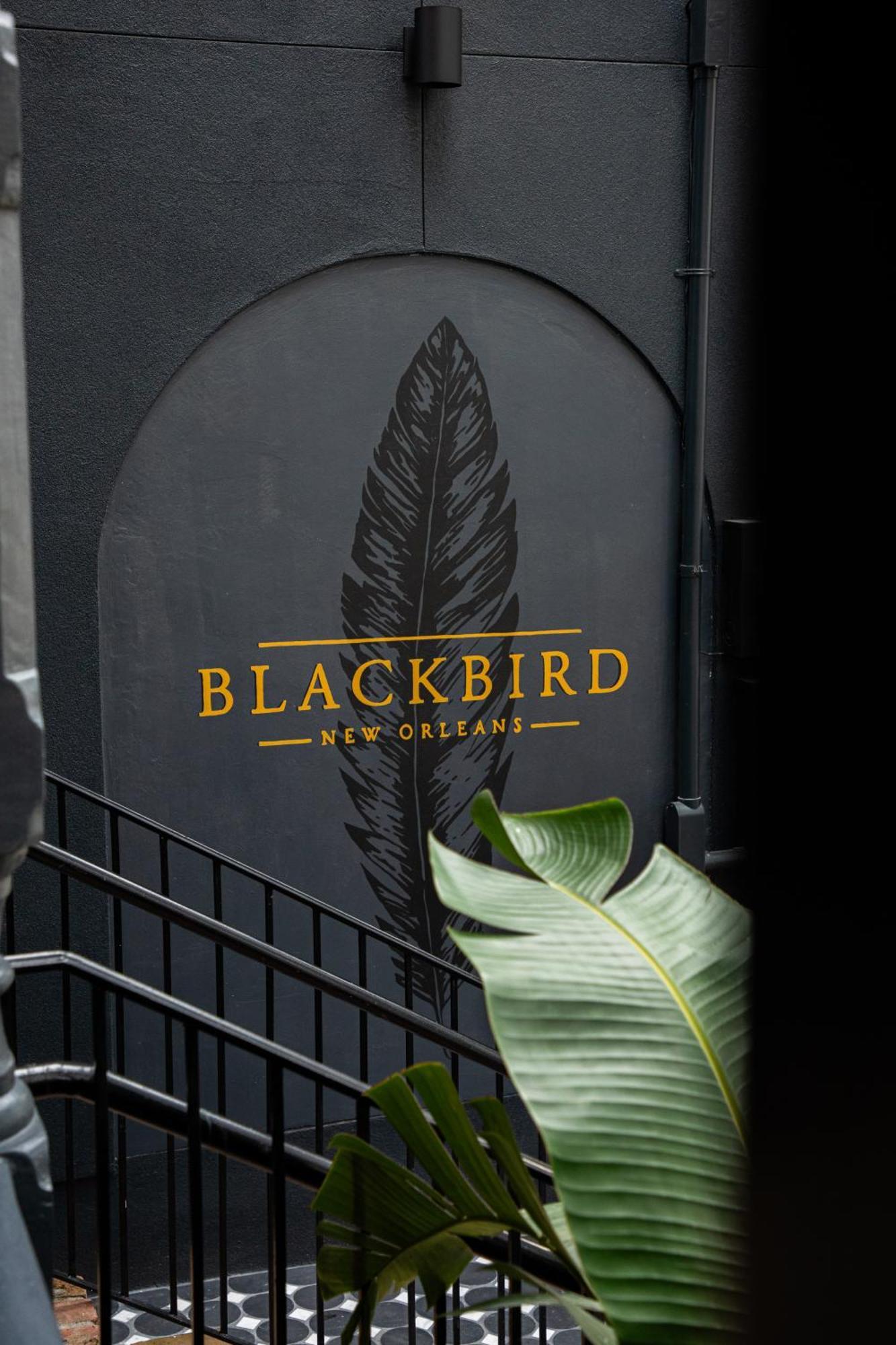 Blackbird Hotel Nowy Orlean Zewnętrze zdjęcie