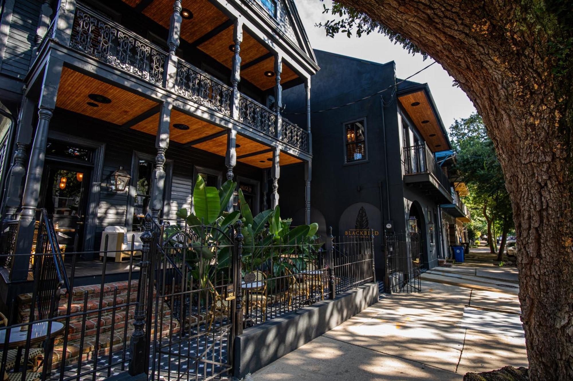 Blackbird Hotel Nowy Orlean Zewnętrze zdjęcie